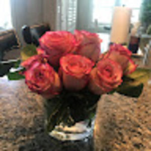 Meet your Posher, Atx-c